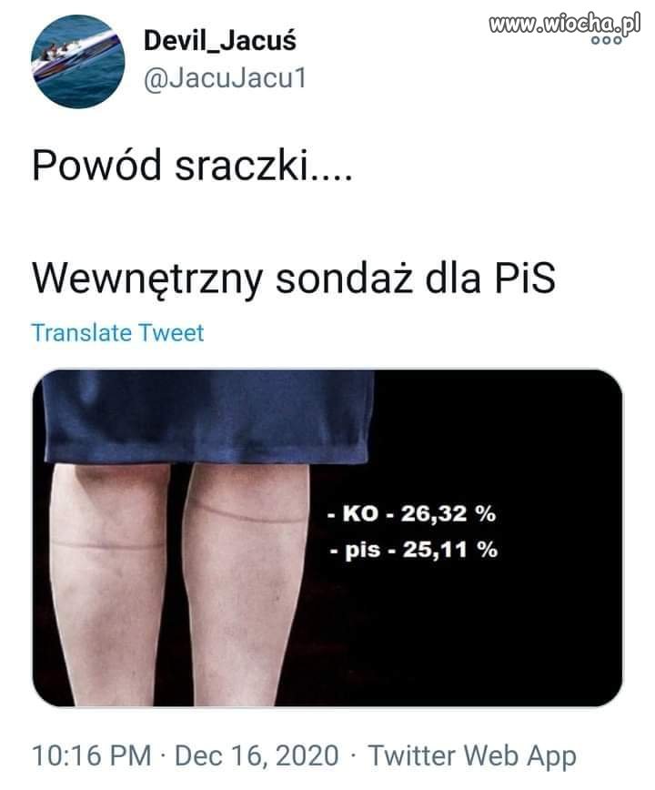 Sondaż 