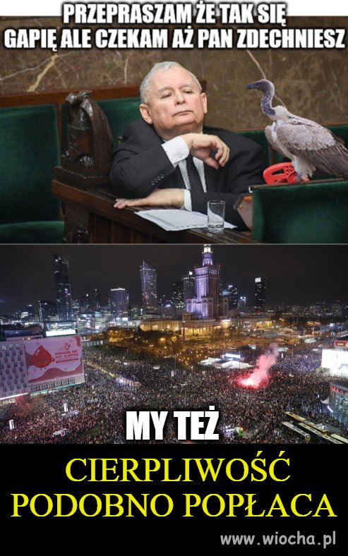 Cierpliwość popłaca 