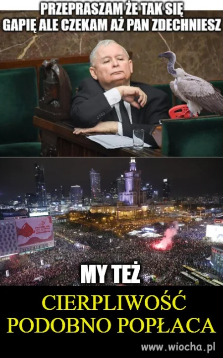 Cierpliwość popłaca 