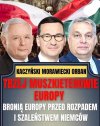 PiSowskie memy to większy fenomen niż plakat PRL.