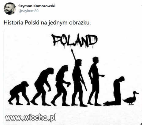 Historia Polski w jednym obrazku...