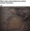 Heheszki
