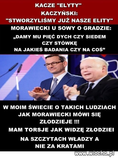 Elyty Kaczyńskiego...