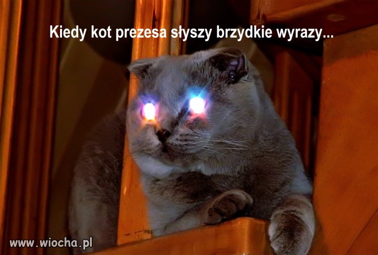 Bez tytułu.