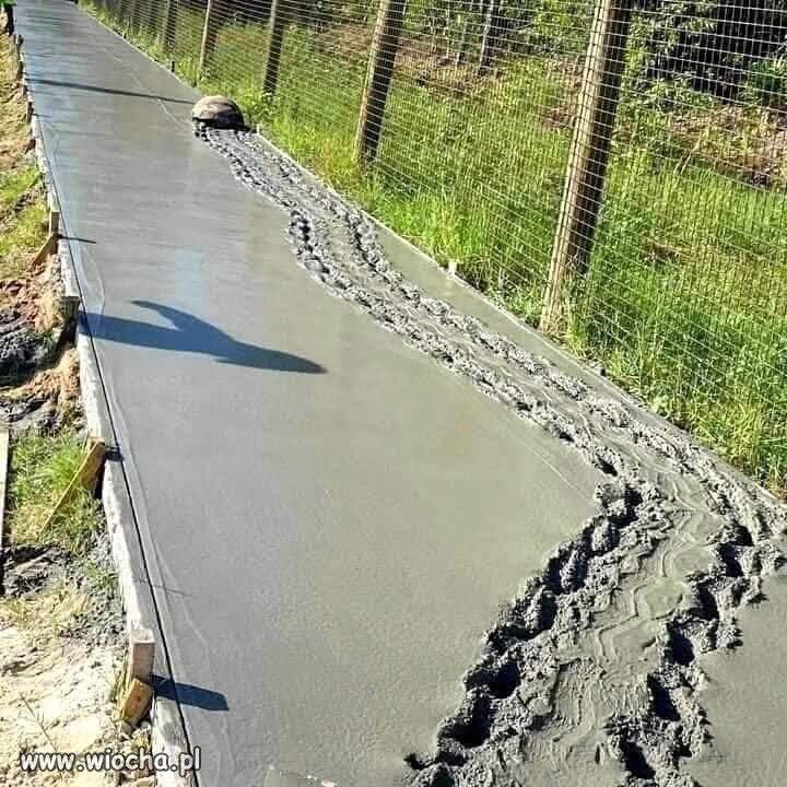Co mi zrobisz jak mnie złapiesz?
