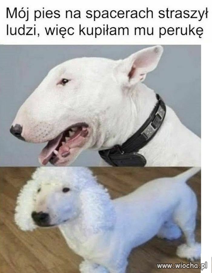 Nie taki diabeł straszny