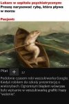 Ryba i pacjent