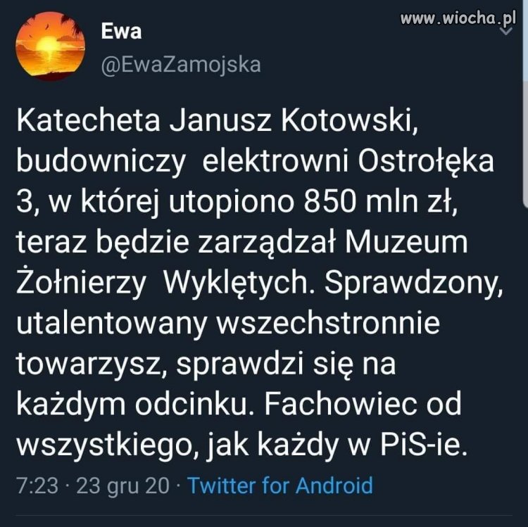 Fachowiec