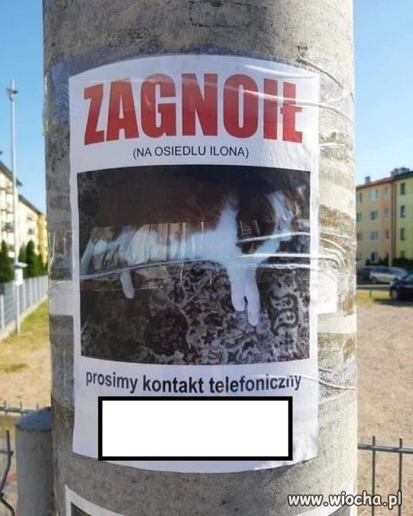 Poszukiwany...