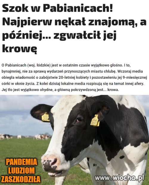 Co ten Covid robi z ludźmi ?