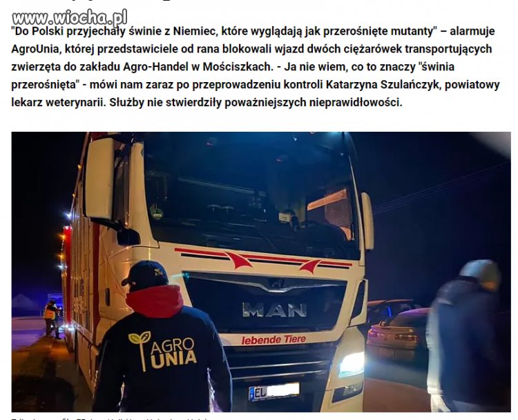 Świnie importują świnie
