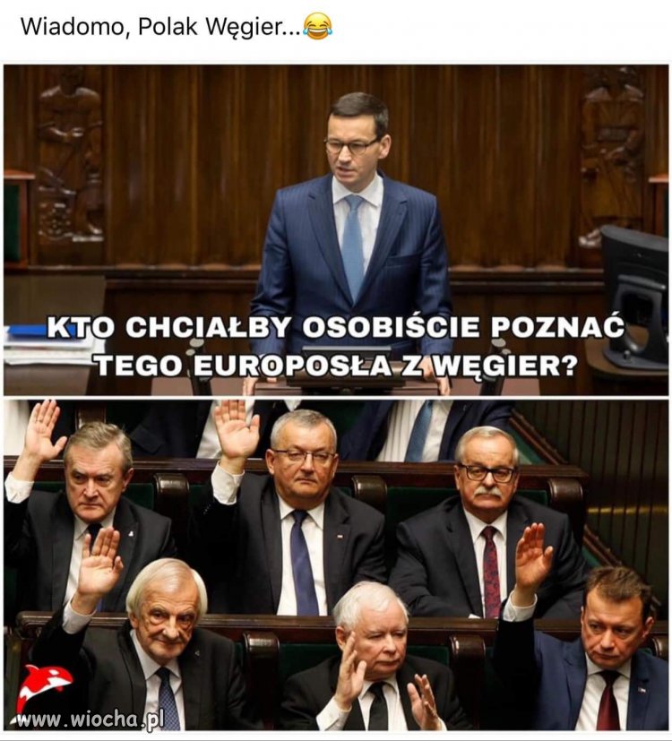 Wiadomo. Polak, Węgier...