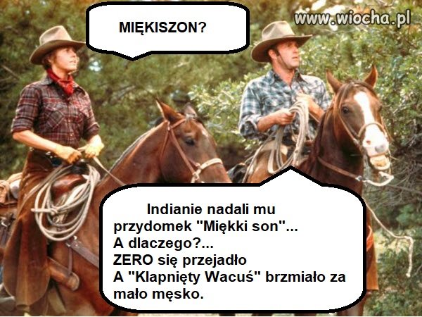 Miękiszon