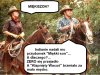 Miękiszon