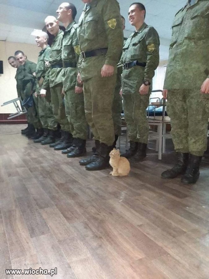 Jak wojsko to wojsko...