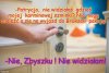Podsłuchane