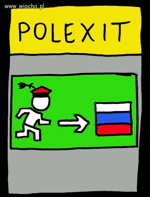 Polityka zagraniczna pis