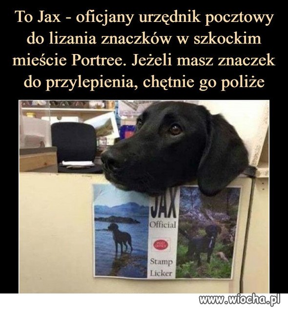 Dobra robota, Jax!