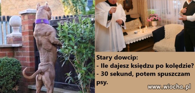 Zbliża się kolęda. 