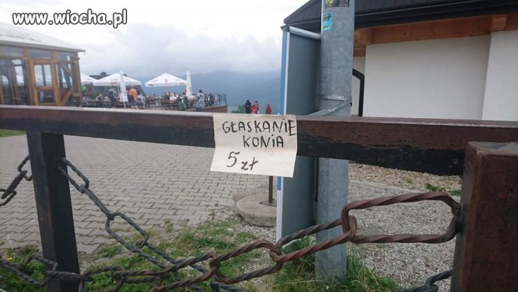 Tanio. Trzeba brać.