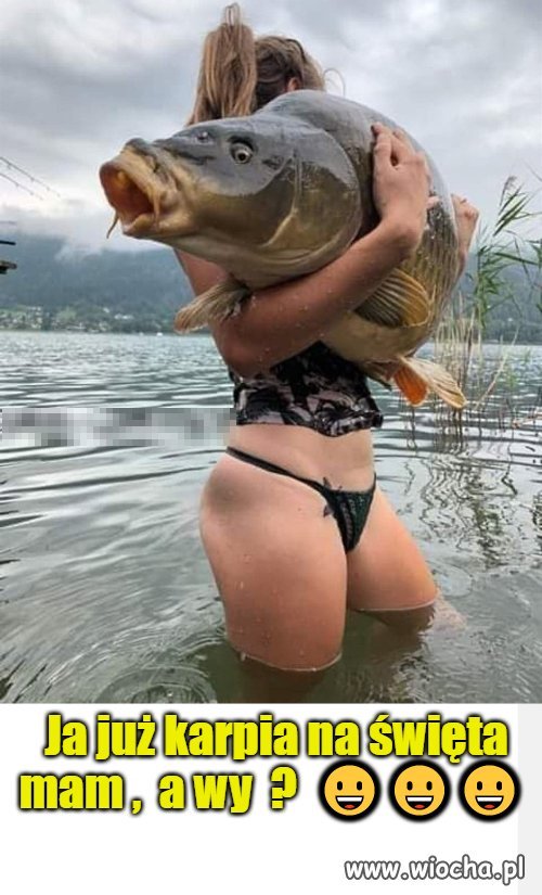 Karp na święta 