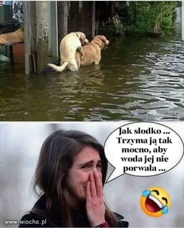 Aż się wzruszyłam jak on o nią dba 