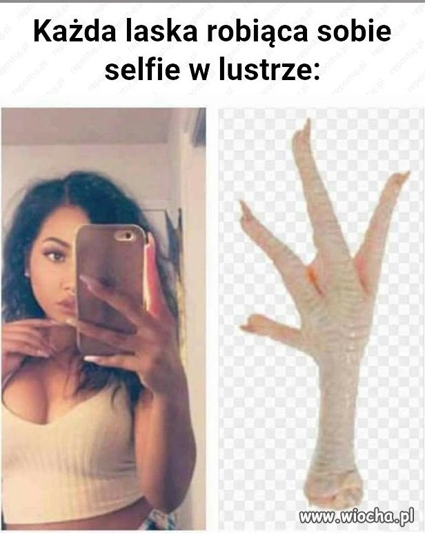 Coś w tym jest