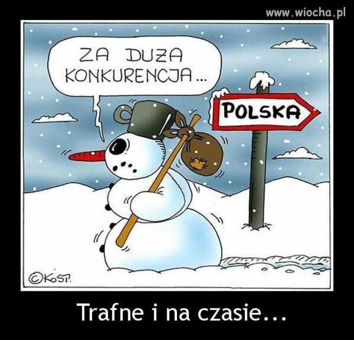Spora konkurencja 