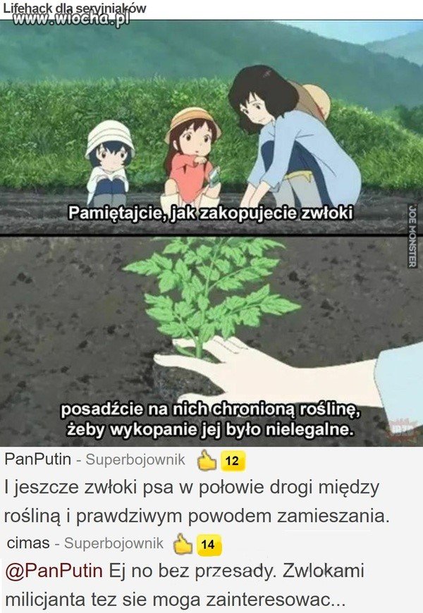 Z cyklu ~rady i porady~