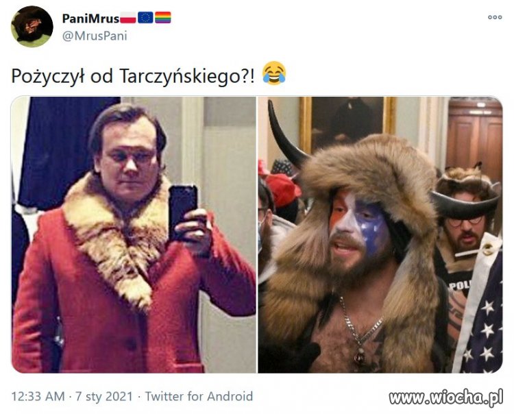 Dzikusów nie brakuje nigdzie 