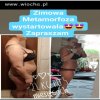 Odchudzanie reklama na fb