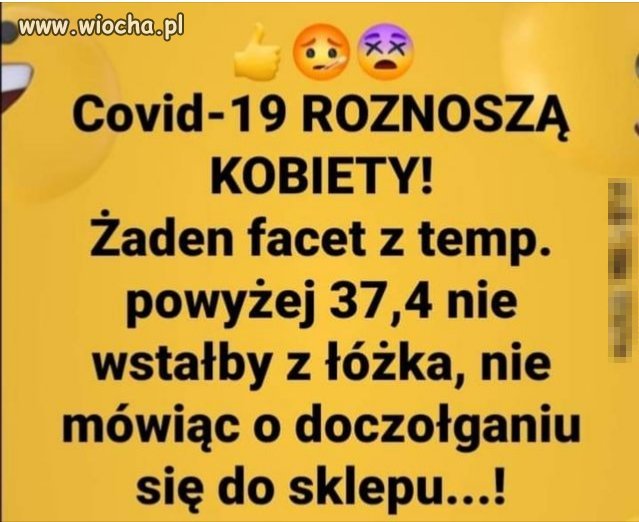 Fakt.