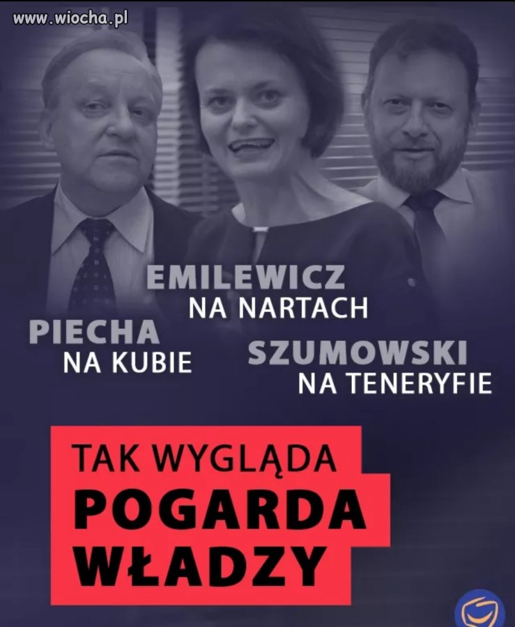 Elita się bawi
