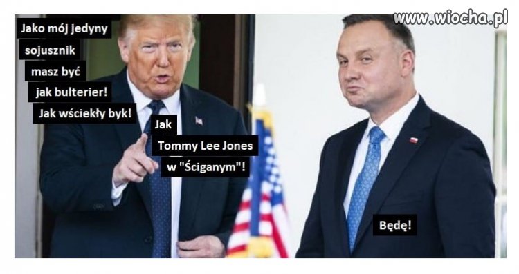 Tytuł zbędny