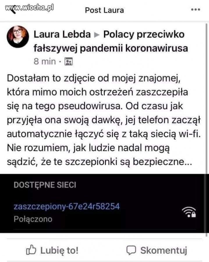 Gdyby głupota miała skrzydła...