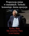PiS Pany 