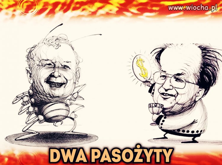 Pasożyty ... wysiadka!