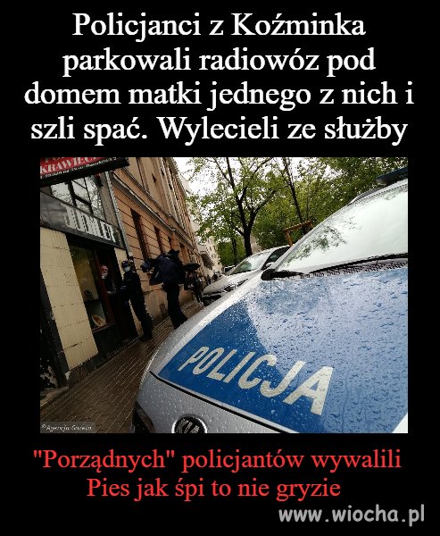Porządni policjanci 