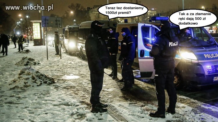 Bojówki PiSu
