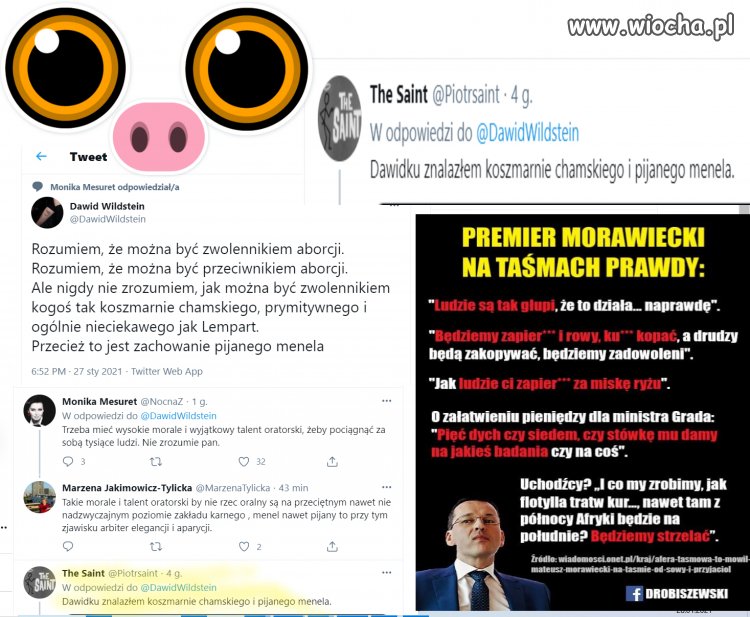 Dawidek Wildsein dostał:
