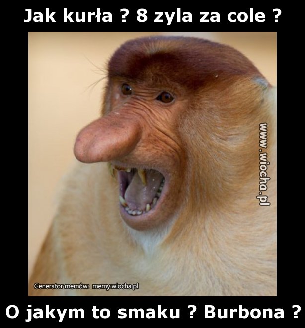 Jak kurła? 8 zyla za cole?