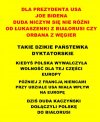 DLA PREZYDENTA USA JOE BIDENA