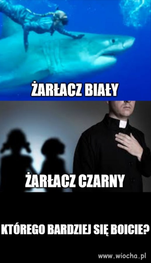 Zapytanie