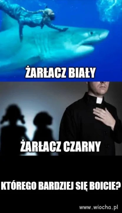 Zapytanie