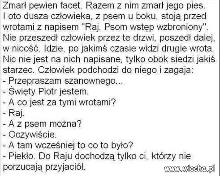 Przyjaciół się nie porzuca 