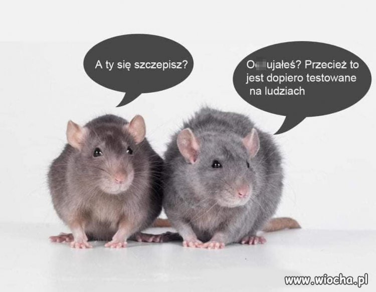 Luźne rozmowy :)