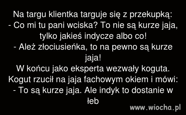 A jednak kurze 