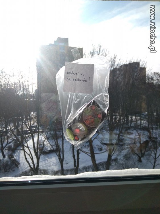 Sąsiadka