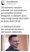 Zaorała 
