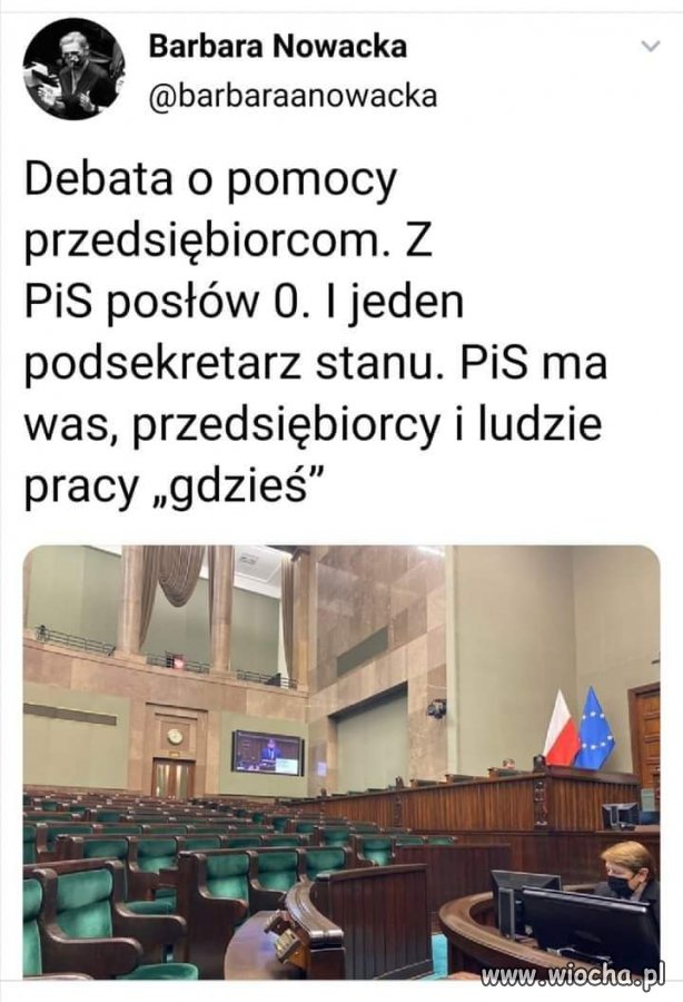 Żadna 